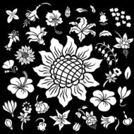 Flower silhouettes set N2