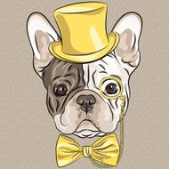 vector funny cartoon hipster French Bulldog dog