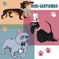 set of dogs