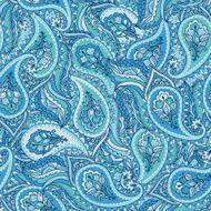 Floral Paisley seamless pattern N3