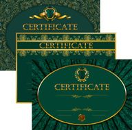 Elegant template of certificate diploma N34