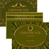 Elegant template of certificate diploma N35