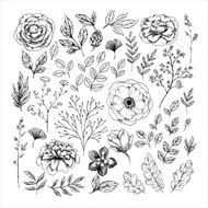Hand drawn leaf and flower collection Vector illustration