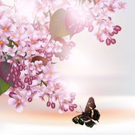 Floral romantic background with lilac flowers