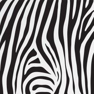 vector zebra texture N5