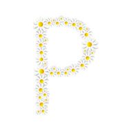 Flora Daisy Design Alphabet Vector Illustartion N52