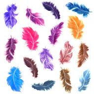 Watercolor colorful bird feather set