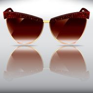 retro sunglasses with tortoise frame