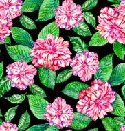 seamless exotic floral pattern pink camellias and tropical leav N4
