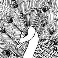 Decorative ornamental peacock Doolle style N4