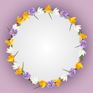 Background wreath of spring flowers crocus