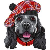 vector dog American Cocker Spaniel in Scottish Tam