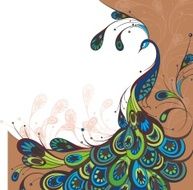 Peacock N20