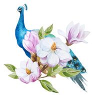 Magnolia and Peacock N3