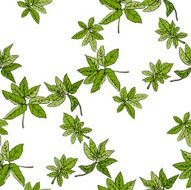 Seamless pattern with leaves angelica