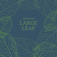 Leaves N16