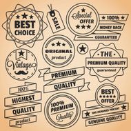 Premium quality vintage labels and badges set