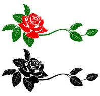 Rose Vector N6