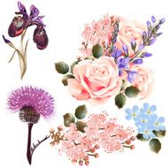 Vector set of detailed colored flowers