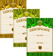 Elegant template of certificate diploma N37