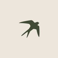 Swallow bird abstract vector logo design template N2