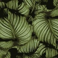 leaf paint pattern