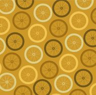bicycle tires N2