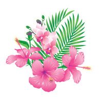 Tropical Flowers N6