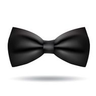 Vector bow tie icon isolated on white background N4