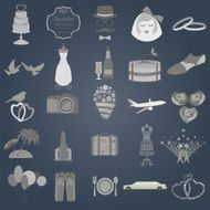 Set of vintage wedding fashion style and travel elements icons N3
