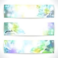 Set of floral vector banners N2