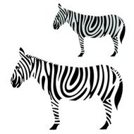 Zebra N12