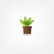 Flower in a pot icon N4