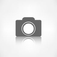 Photo camera icon Photography N8