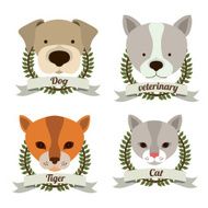 animal design N11
