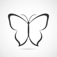 vector butterfly icon or background N2