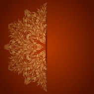 Elegant background with lace ornament N6