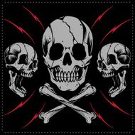 Skulls and bone cross vector N2