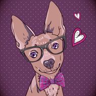 Hipster background with a dog N2