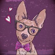 Hipster background with a dog N3
