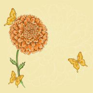 Beautiful chrysanthemum flower with flying butterflies