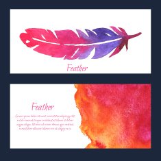 Elegant vector background with watercolor drawing feathers N2