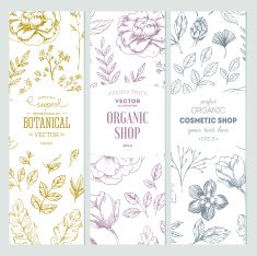 Botanical banner collection Organic cosmetic Vector illustration N3