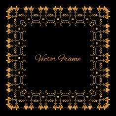 Vintage Frame N50