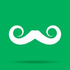 mustaches vector icon N9