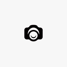 Camera Icon N82
