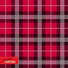 Seamless tartan pattern N26
