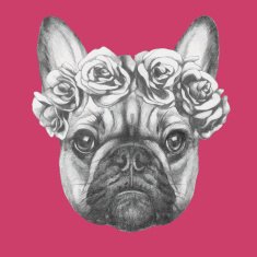 Hand drawn portrait of French Bulldog with roses