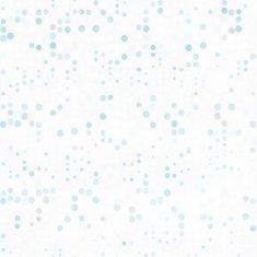ethnic seamless pattern ornament print design N165