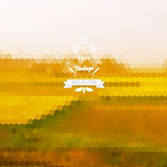 abstract colorful hexagon landscape pattern background with vintage label